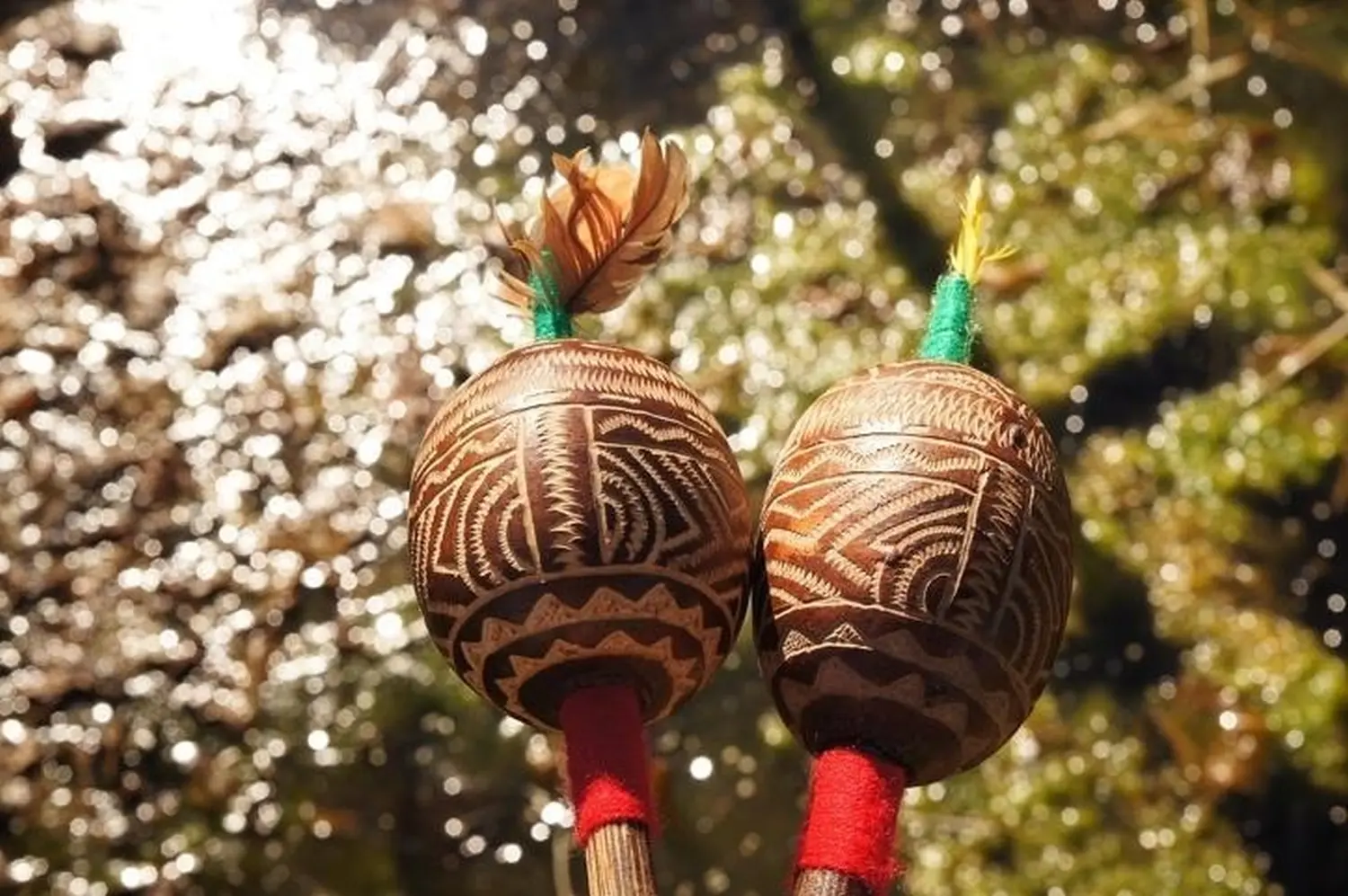 Energiemedizin von Soul Lightening